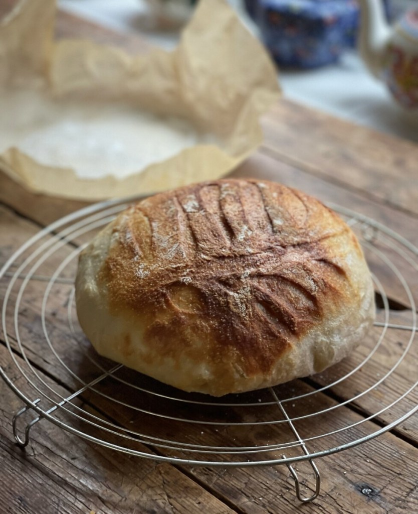 Sourdough Bread in the Ninja Foodi